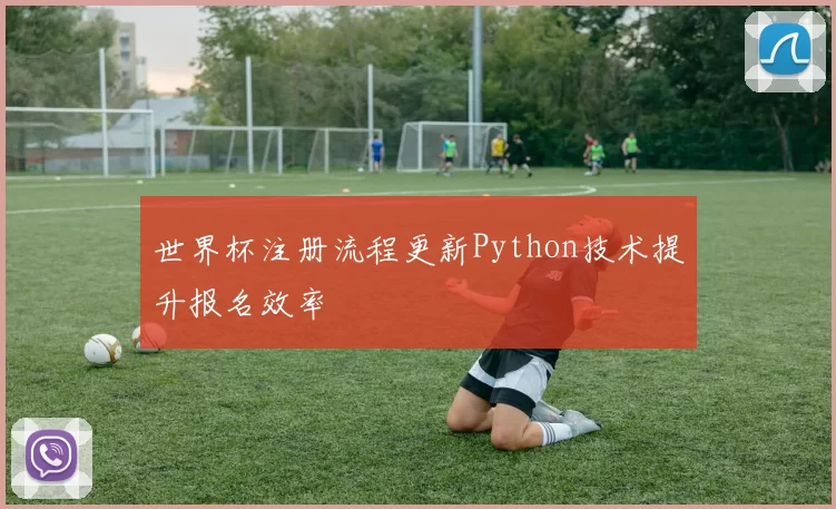 世界杯注册流程更新Python技术提升报名效率