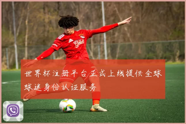 世界杯注册平台正式上线提供全球球迷身份认证服务